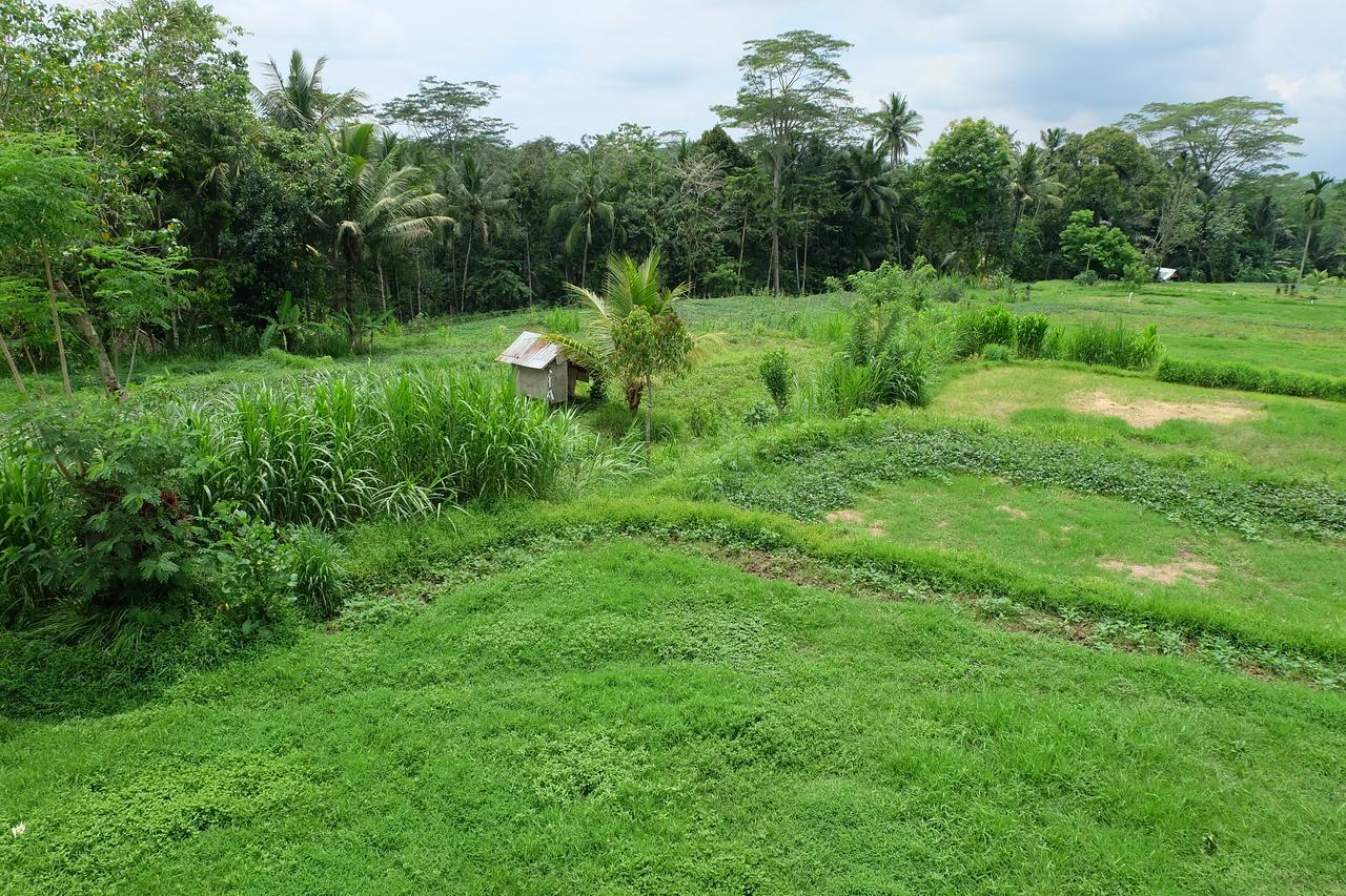 The Rana Villa Tegallalang  Exterior foto